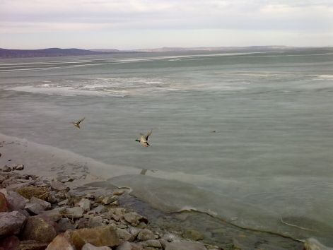 201202251539.jpg