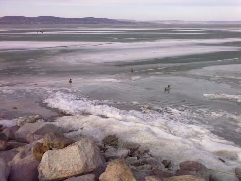 201202251547.jpg