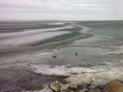 201202251548.jpg