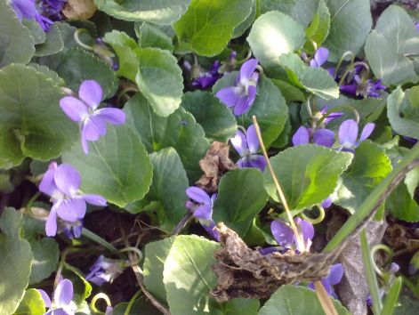 201203251599.jpg