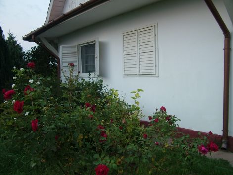 dscf7083.jpg