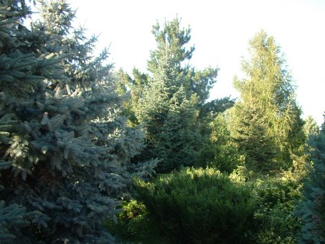 dscf7171.jpg