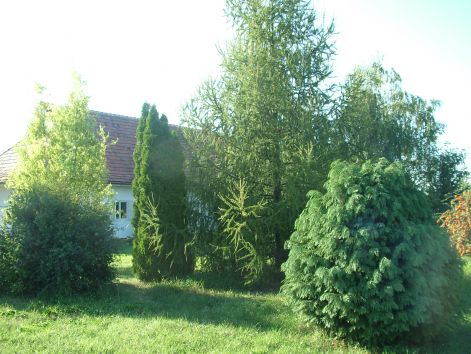 dscf7198.jpg