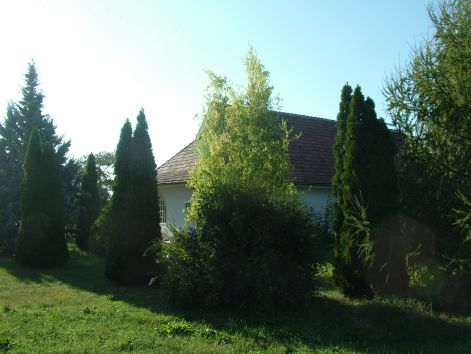 dscf7199.jpg