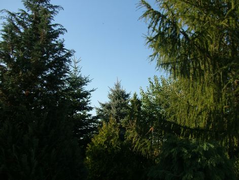 dscf7240.jpg