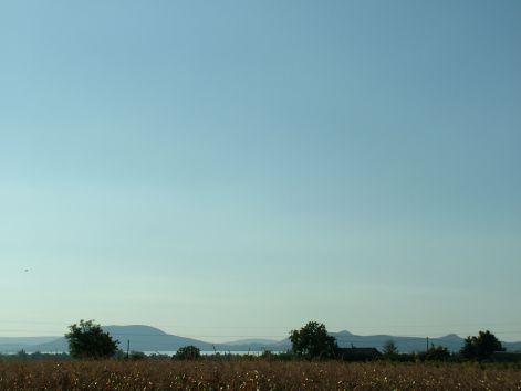 dscf7260.jpg