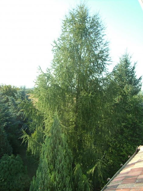 dscf7270.jpg